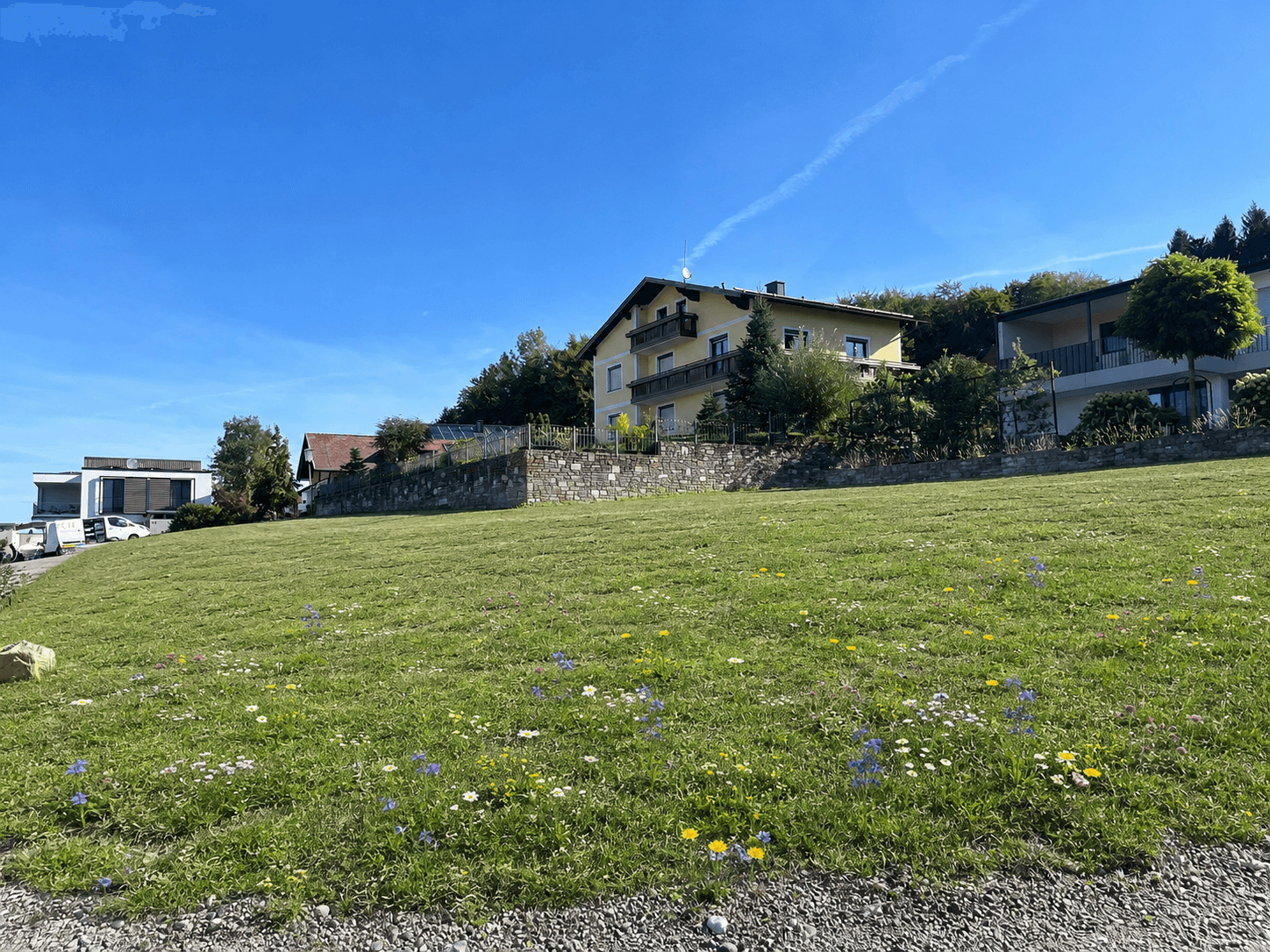 Grüne Wiese mit Wildblumen im Vordergrund und Wohnhäusern am Hang unter klarem Himmel.