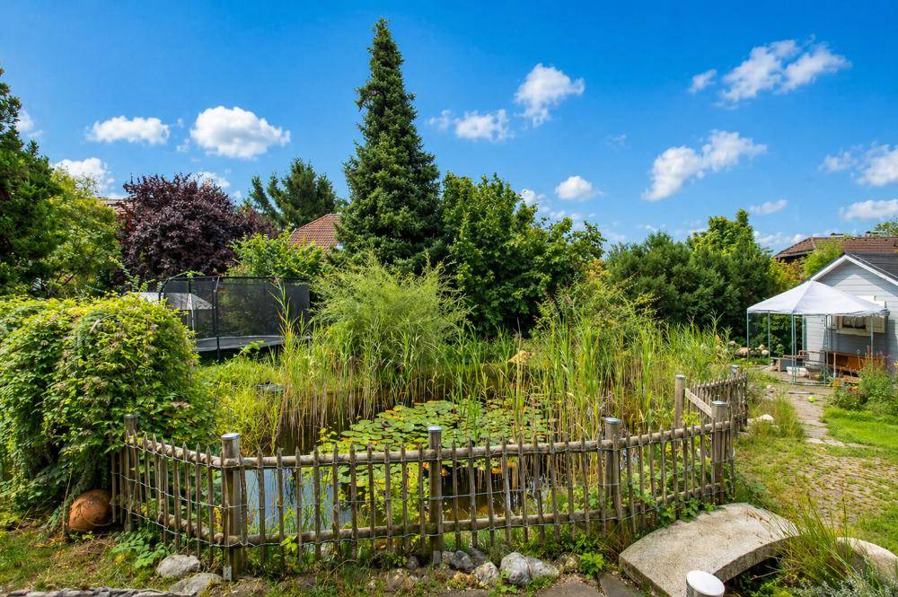Idyllischer Gartenbereich mit einem Teich, umgeben von üppiger Vegetation und einem Trampolin.