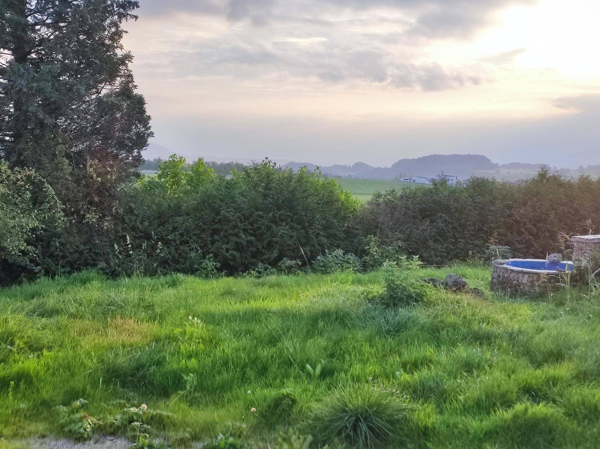 Grüner Gartenbereich mit Büschen und einem steinernen Brunnen unter einem bewölkten Himmel.