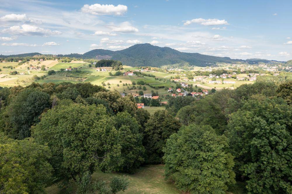 Weitläufige Landschaft mit grünen Hügeln, Wäldern und einem Dorf im Tal unter blauem Himmel.