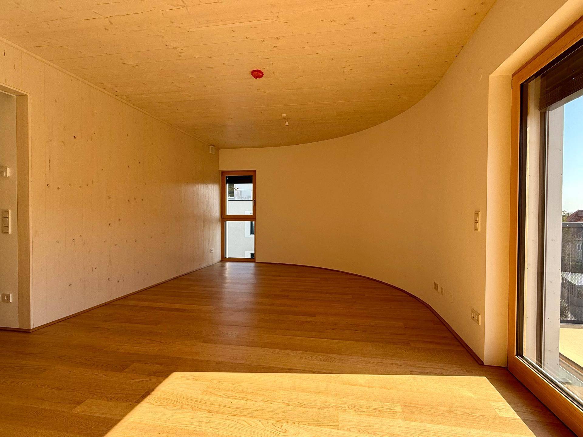 Geräumiger Innenraum mit einzigartiger geschwungener Wand und Holzboden.