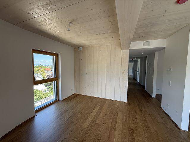 Heller Raum mit Holzboden, Holzdecke und einem Fenster, das einen weiten Blick bietet.