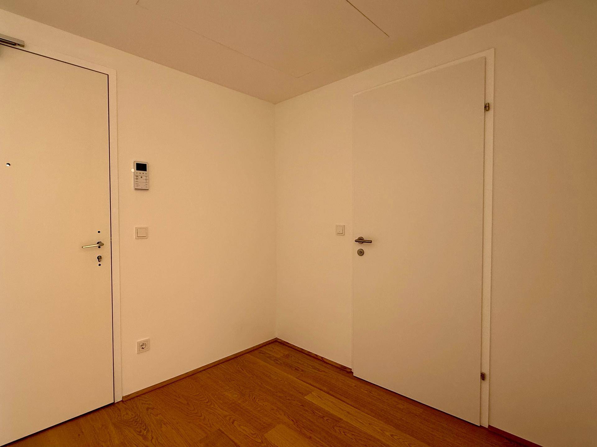 Eingangsbereich mit Holzboden und zwei weißen Türen, die zu weiteren Räumen führen.