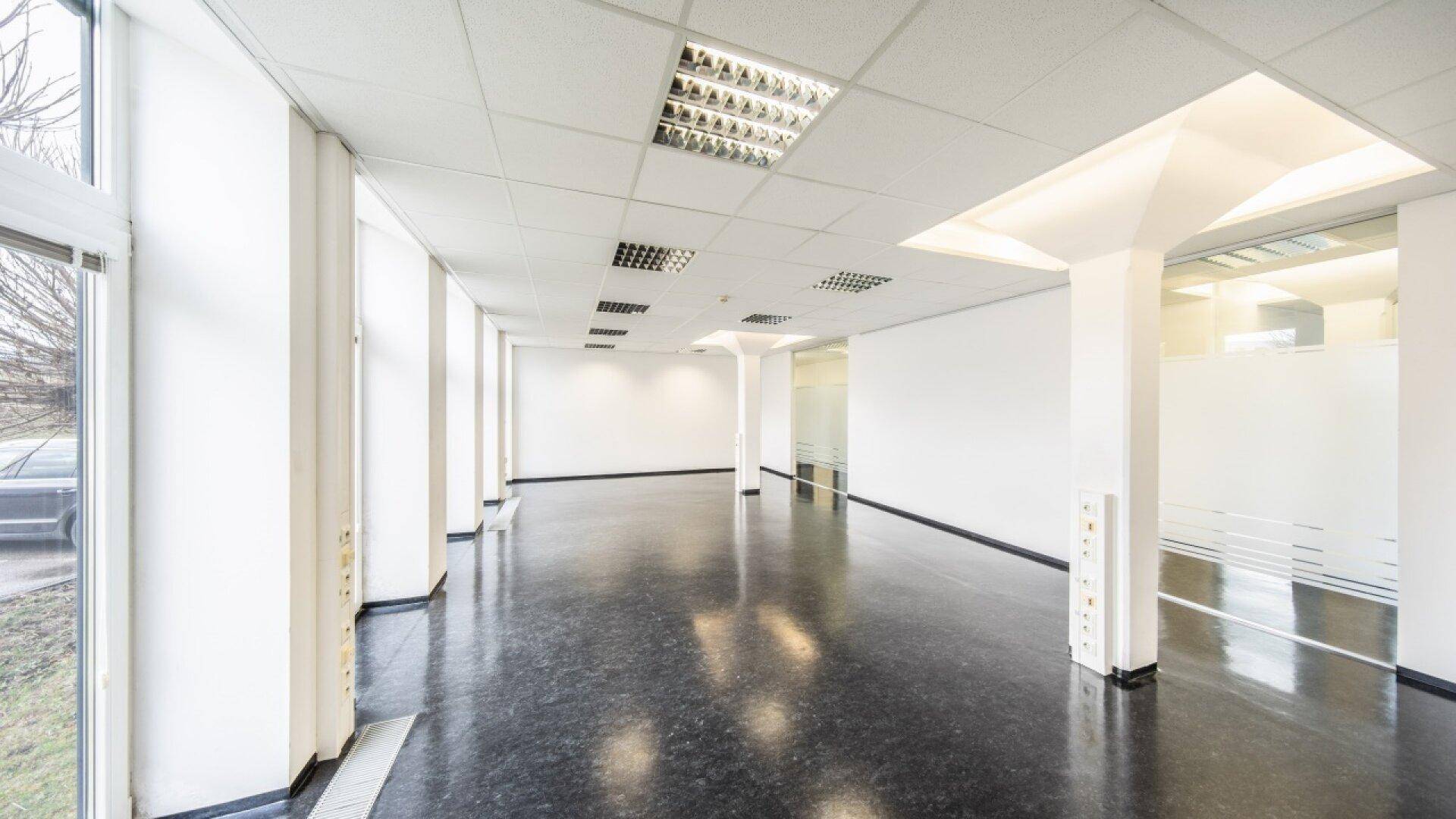 Geräumiger, leerer Büroraum mit großen Fenstern, abgehängter Decke und dunklem Bodenbelag.
