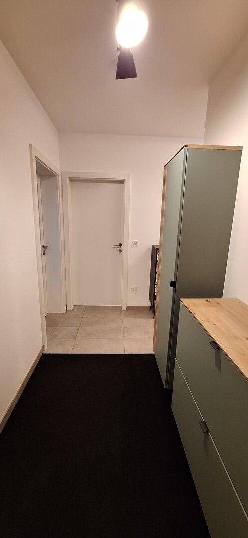 Schmaler Flur mit dunklem Teppichboden und einem modernen Schrank mit Holzdetails.
