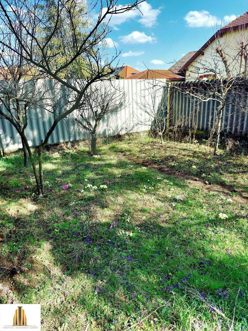 Gartenbereich mit jungen Bäumen, Rasenfläche und einem Zaun, der das Grundstück begrenzt.