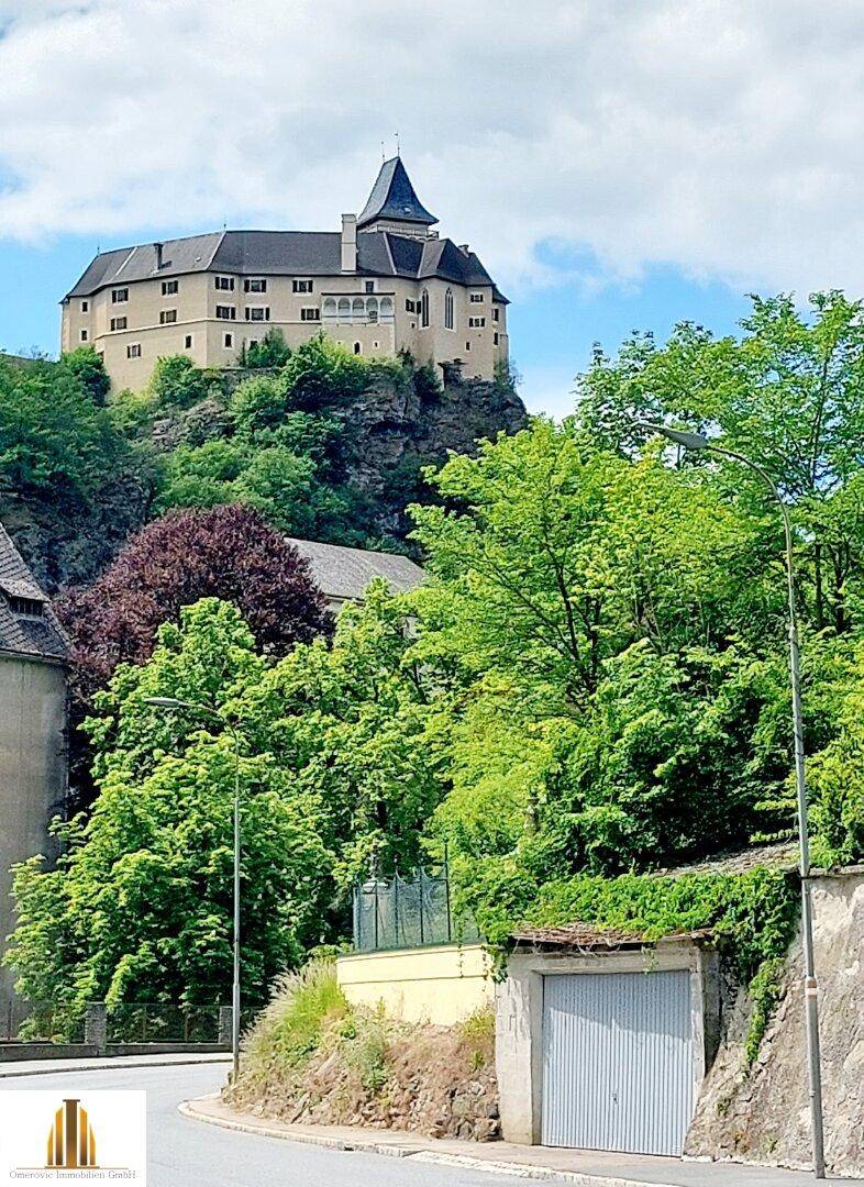 Historische Burg auf einem Hügel, umgeben von üppigem Grün und einer Straße im Vordergrund.