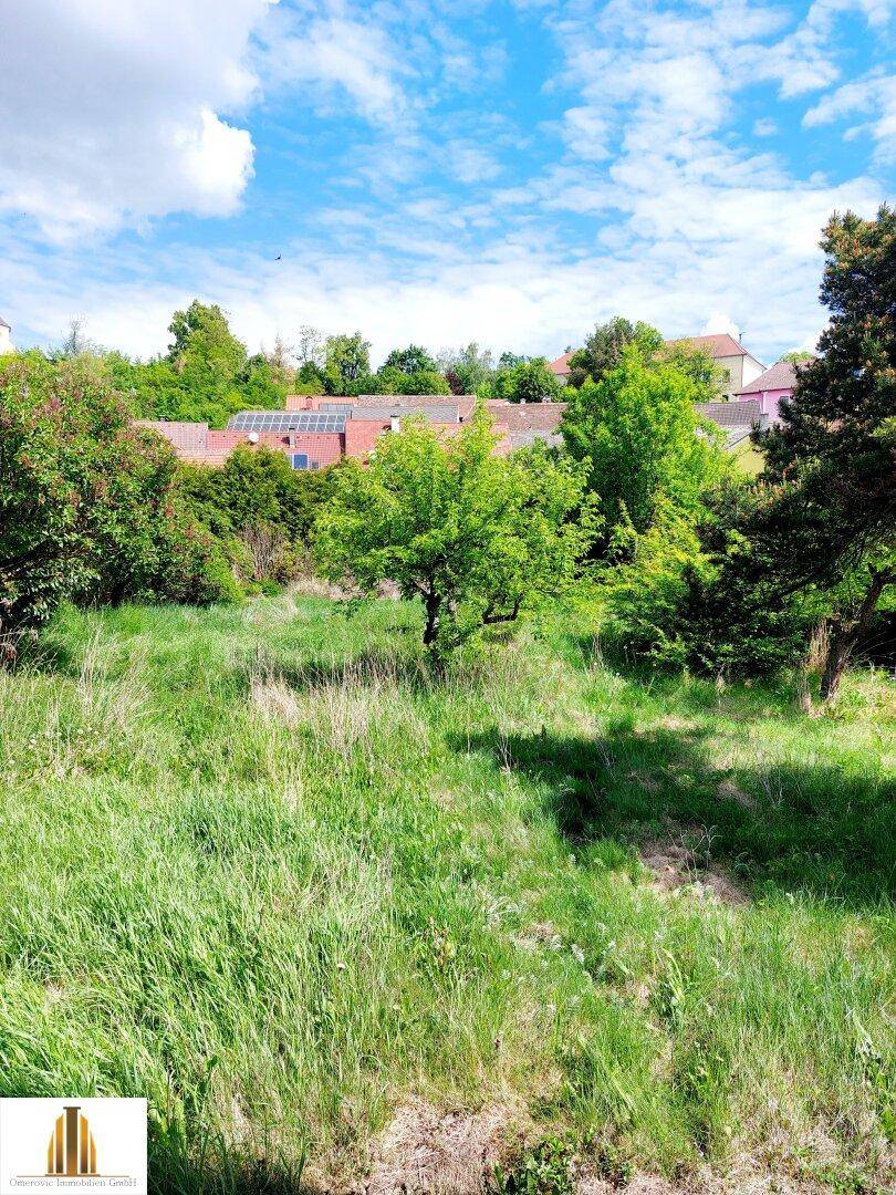 Sonniger Gartenbereich mit Wiese und Bäumen, im Hintergrund sind Häuser und Dächer sichtbar.