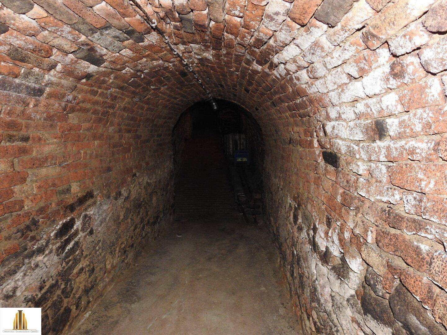 Langer, gewölbter Ziegelkeller mit dunklem Gang und feuchter Atmosphäre.