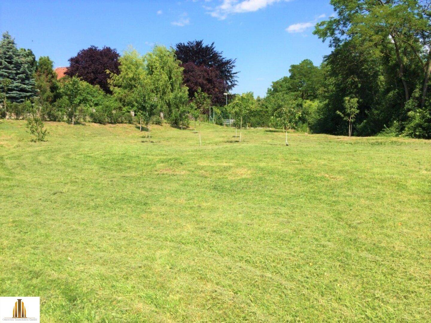 Weitläufiger Rasenbereich mit jungen Bäumen und umgebender Vegetation.