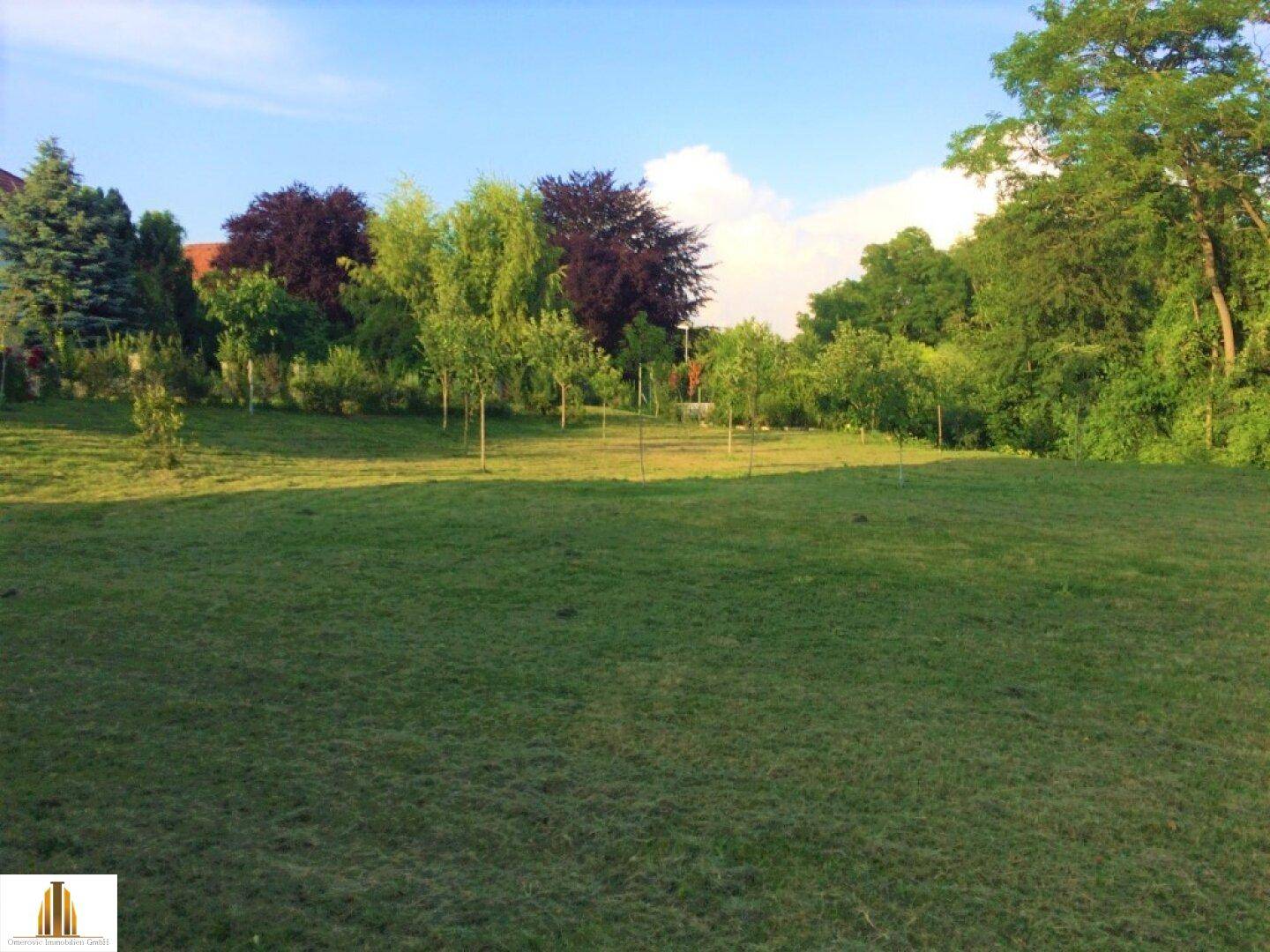 Großer, gepflegter Rasen mit verschiedenen Bäumen unter blauem Himmel.