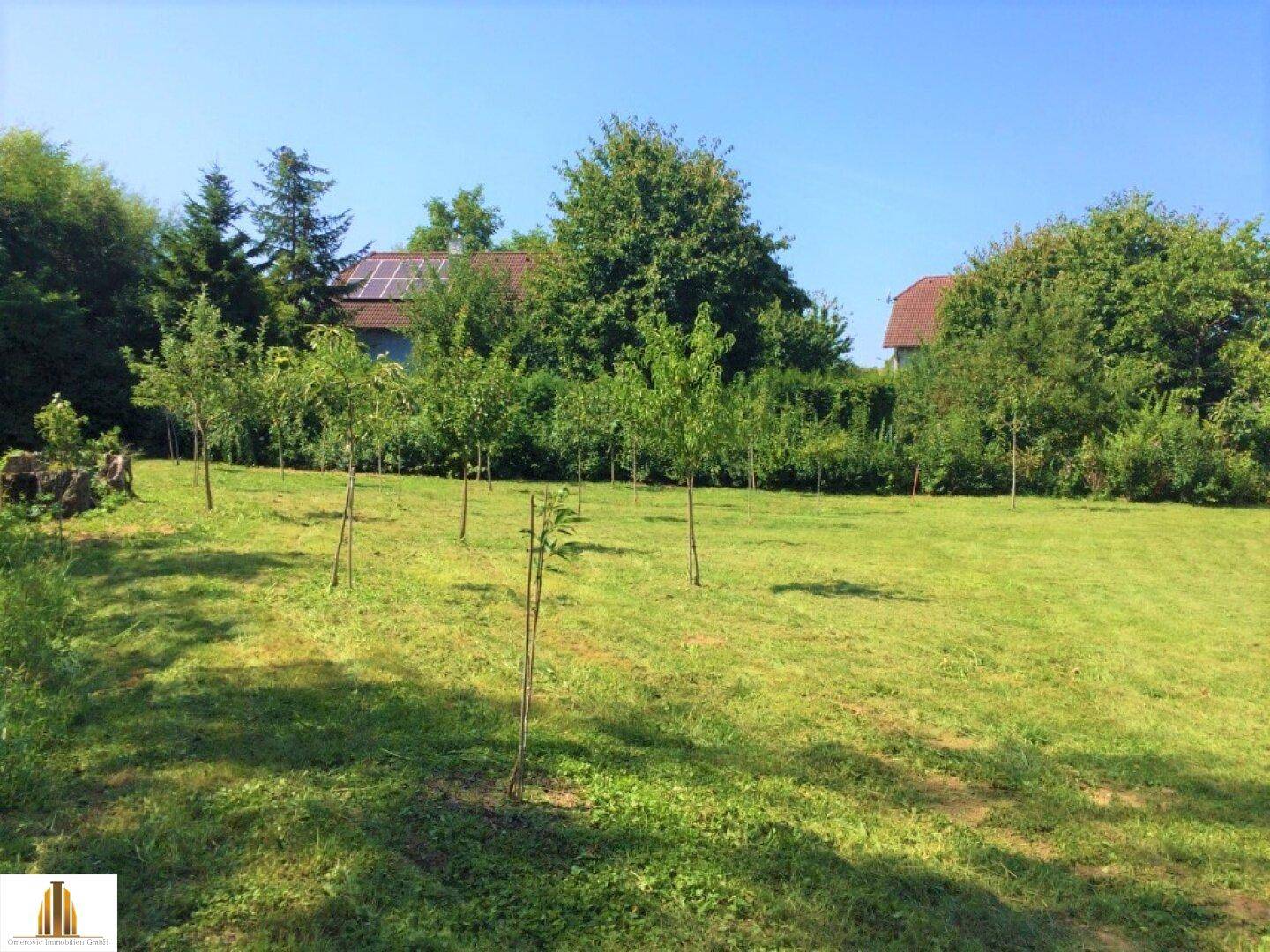 Sonnige Rasenfläche mit jungen Obstbäumen und Blick auf ein weiteres Gebäude.