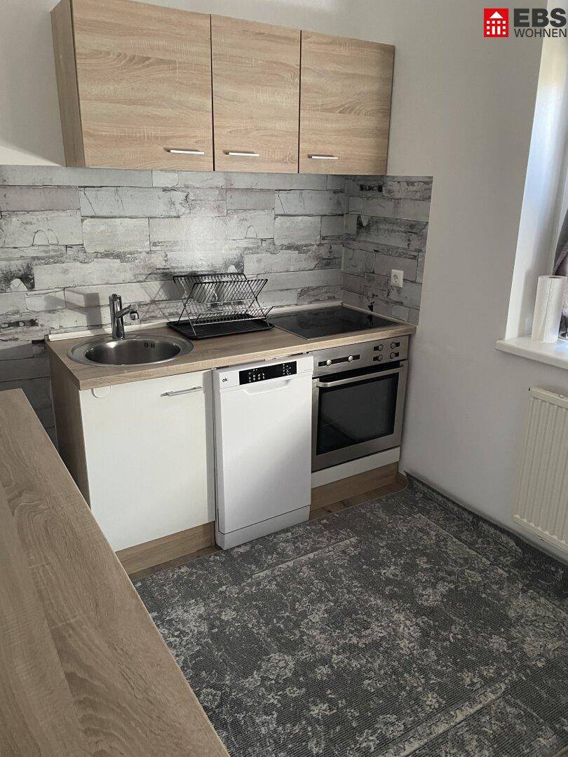 Kleine Küche mit Holzschränken, Spülmaschine, Backofen und Induktionskochfeld.