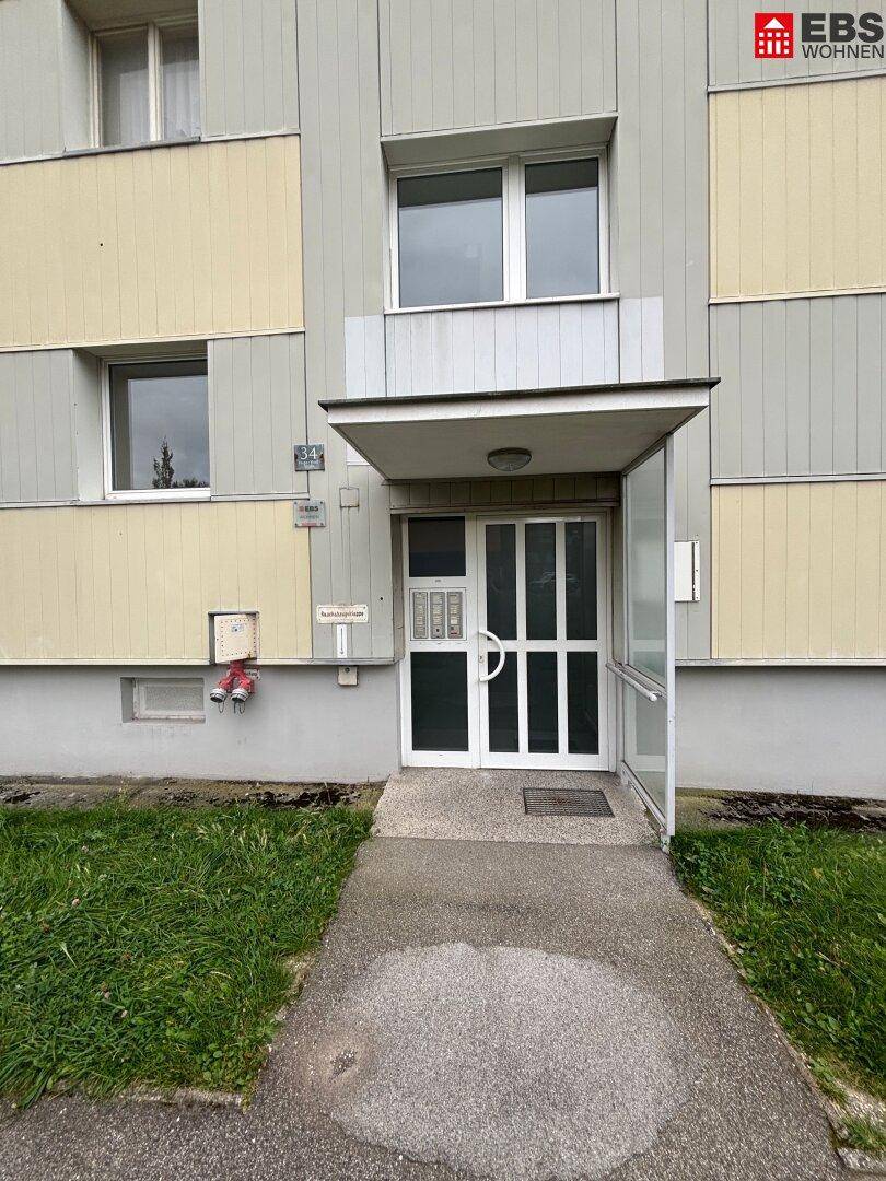 Eingangstüre / Außenanlage
