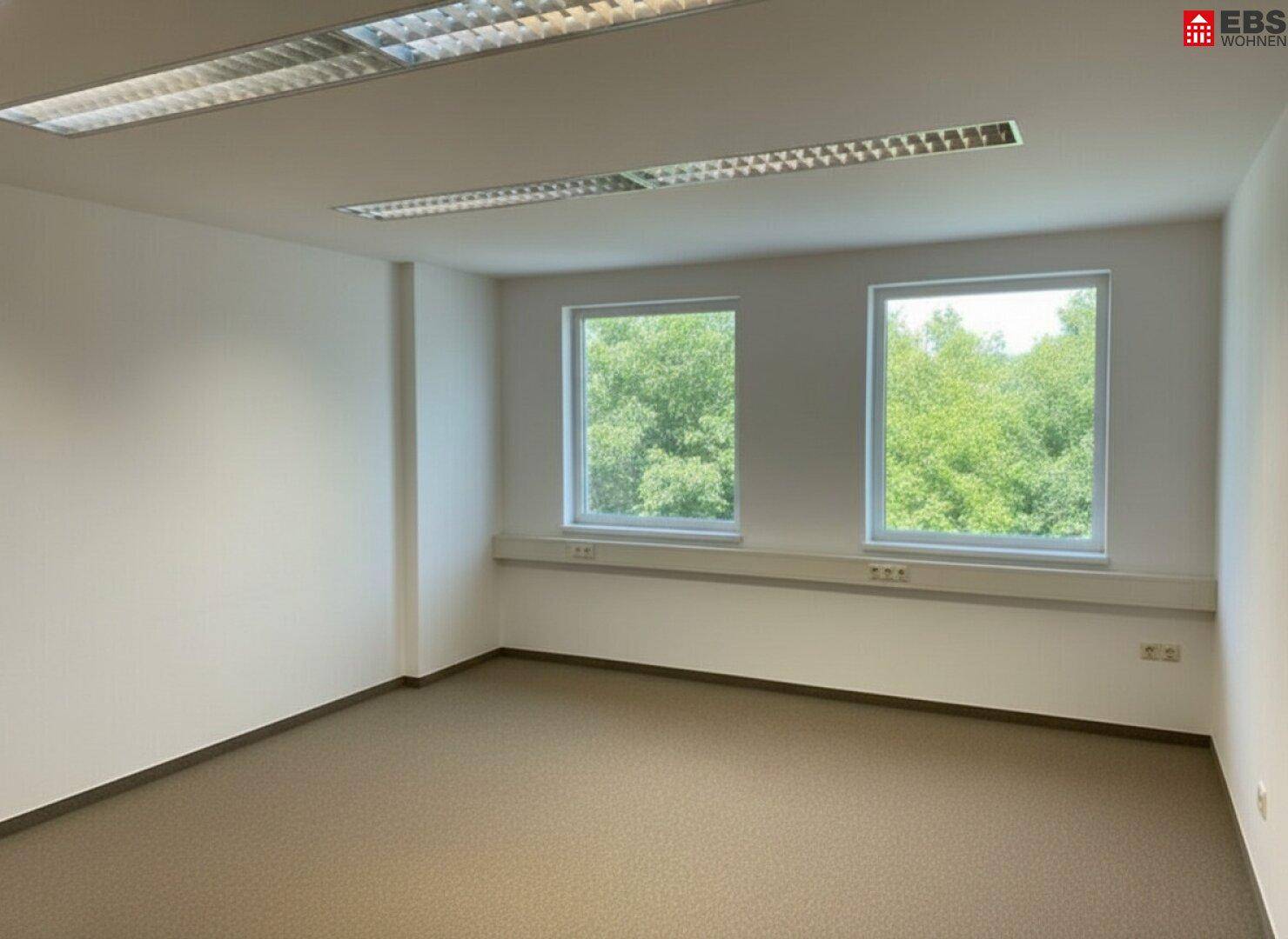 Geräumiges Büro mit Teppichboden und zwei großen Fenstern mit Blick auf Bäume.