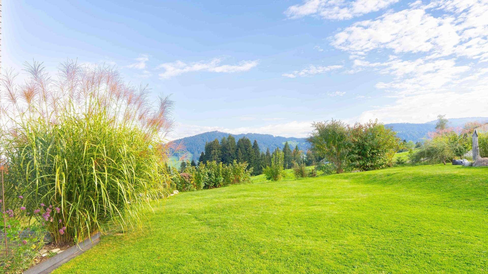 Weitläufiger grüner Gartenbereich mit Ziergräsern und unverbautem Blick auf die umliegende Natur.