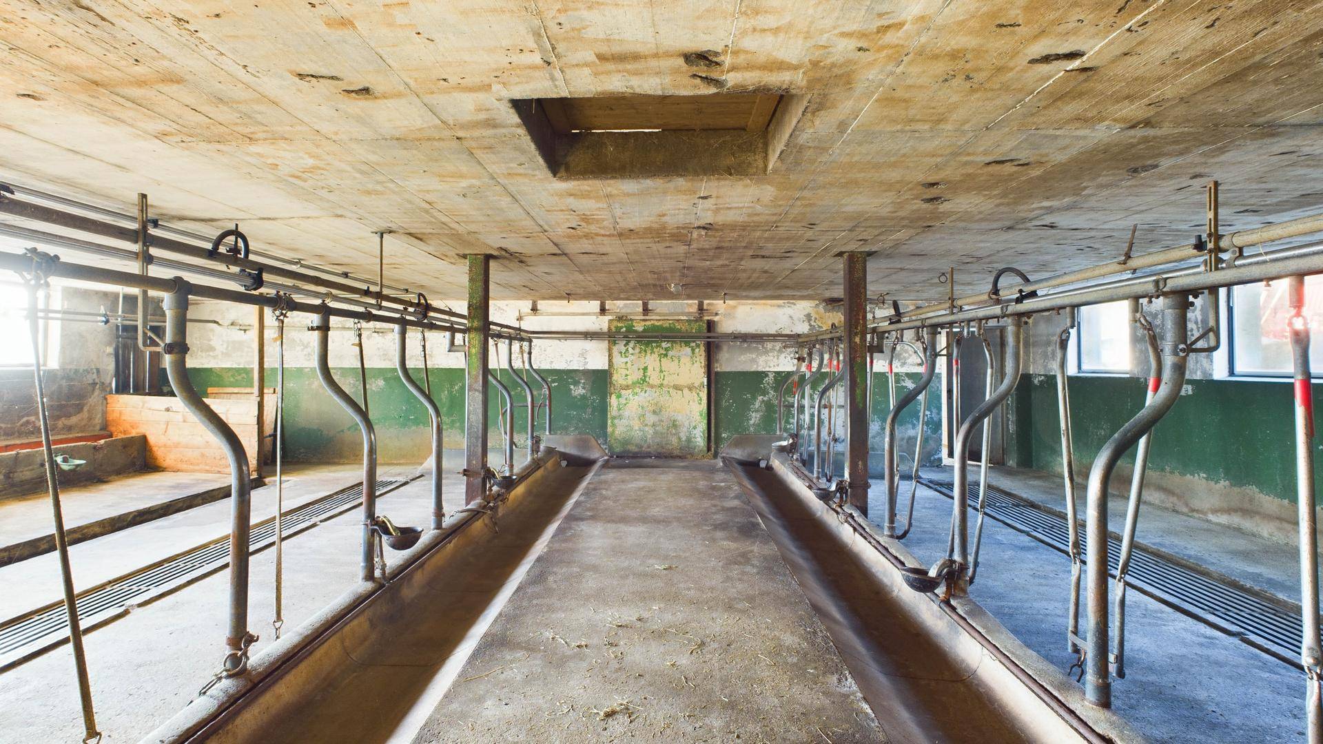Innenansicht eines Stalls mit Betonboden und Metallabtrennungen, in rustikalem Zustand.