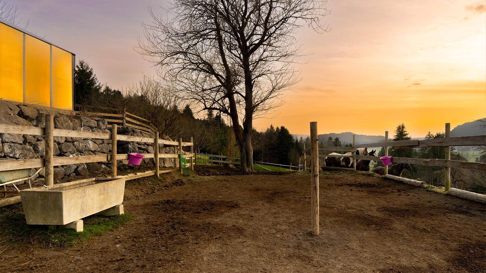 Außenbereich mit Pferdekoppel, Holzzaun und Futtertrog bei Sonnenuntergang.