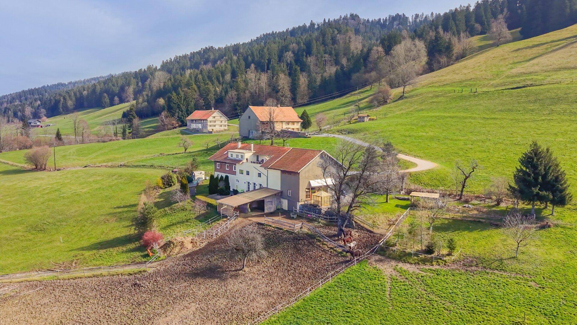 Sulzberg-Thal | Mehrparteienhaus | Großzügiges Anwesen mit 50.012 m² - Ansicht 2