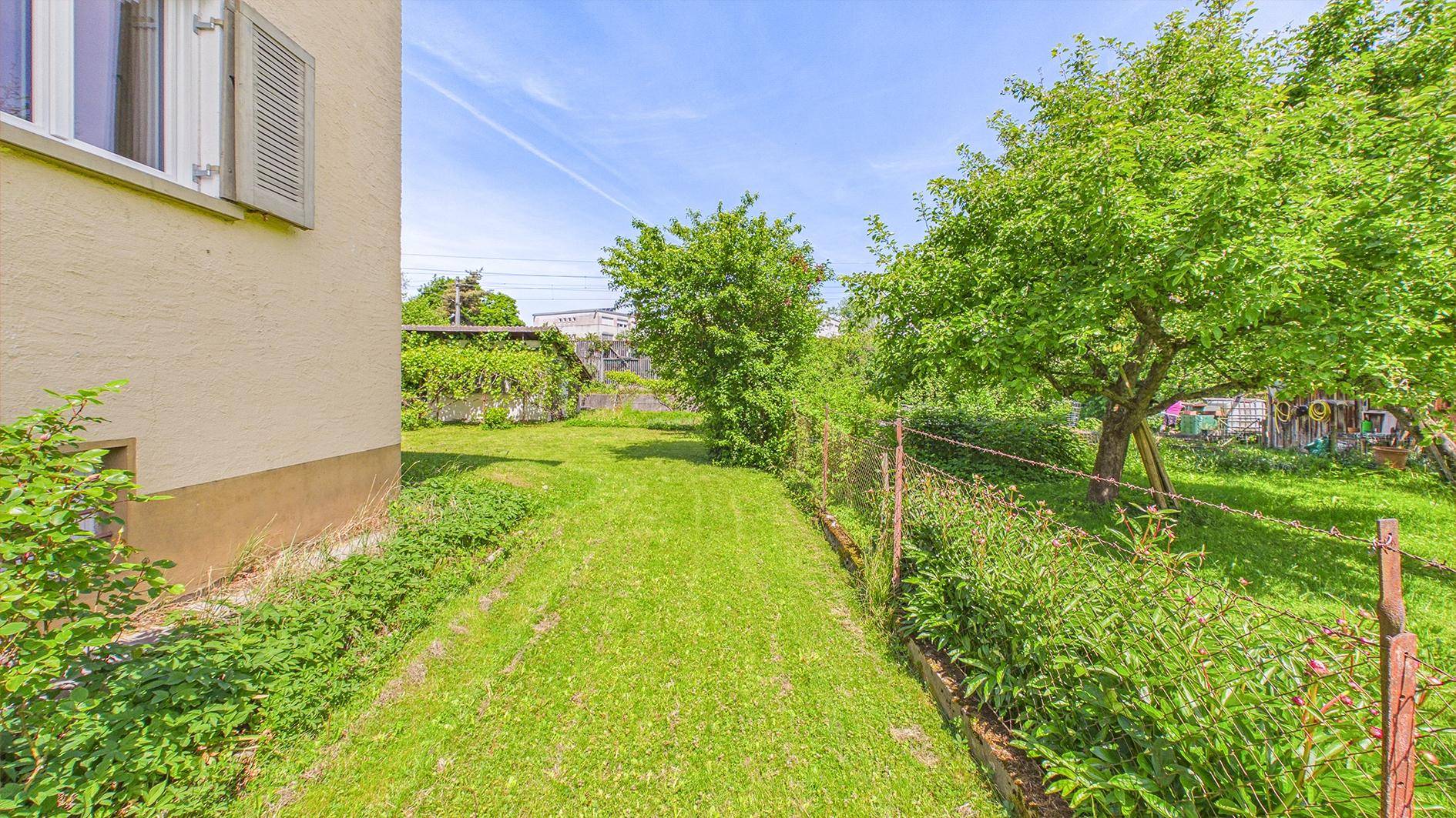 Gepflegter Rasenbereich entlang der Hausfassade mit Bäumen und Zaun im Hintergrund.