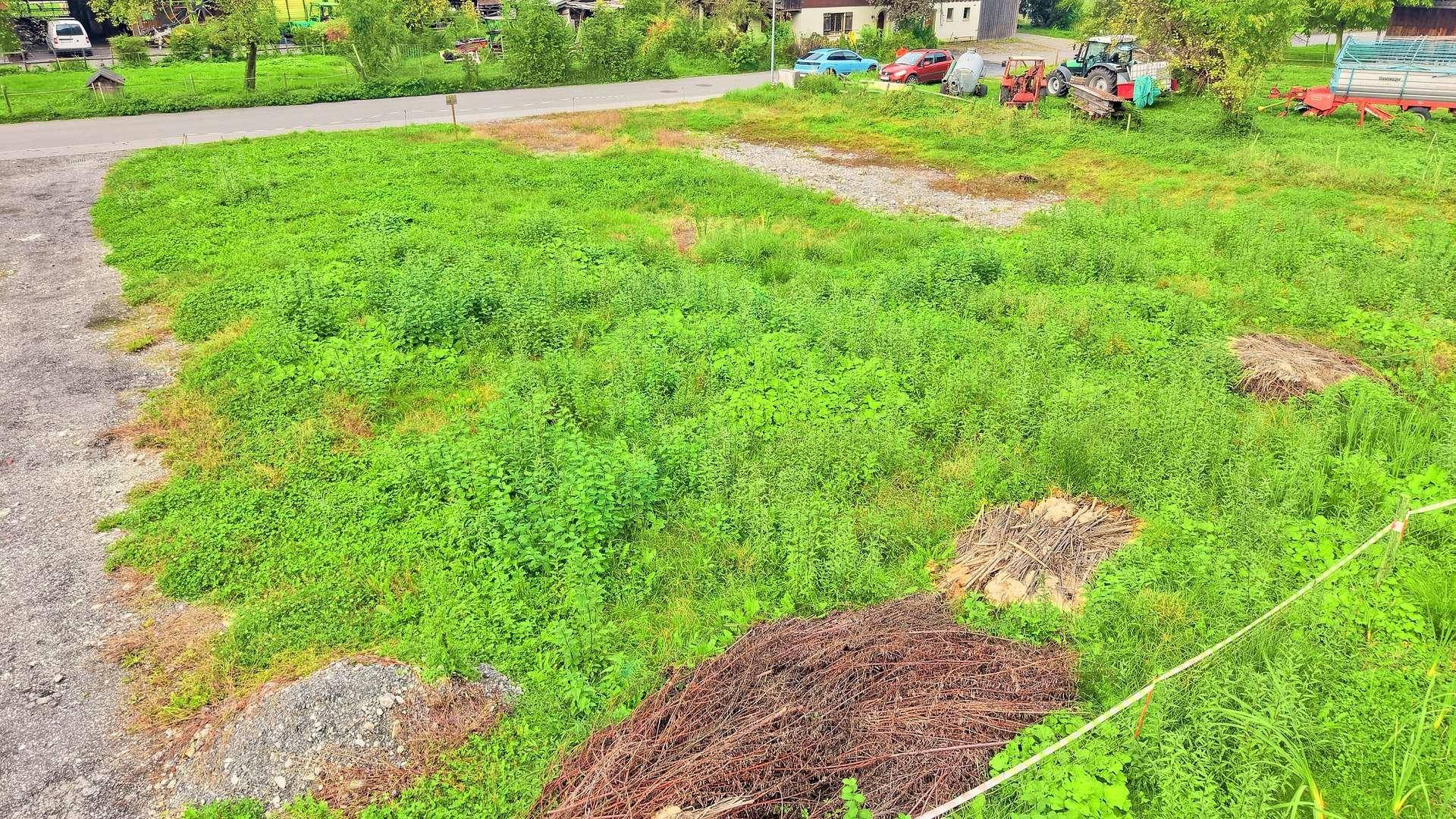 Weitläufiger Blick über das grüne, unbebaute Grundstück mit einigen Ästen und Blick auf die Straße.