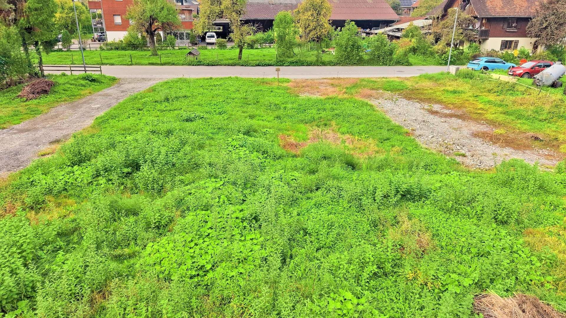 Blick über das dicht bewachsene Grundstück zur Straße und den umliegenden Häusern in ländlicher Umgebung.