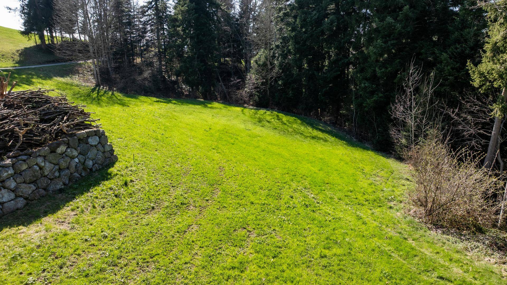 Hügelige Rasenfläche mit einer rustikalen Steinmauer und gestapeltem Holz am Waldrand.