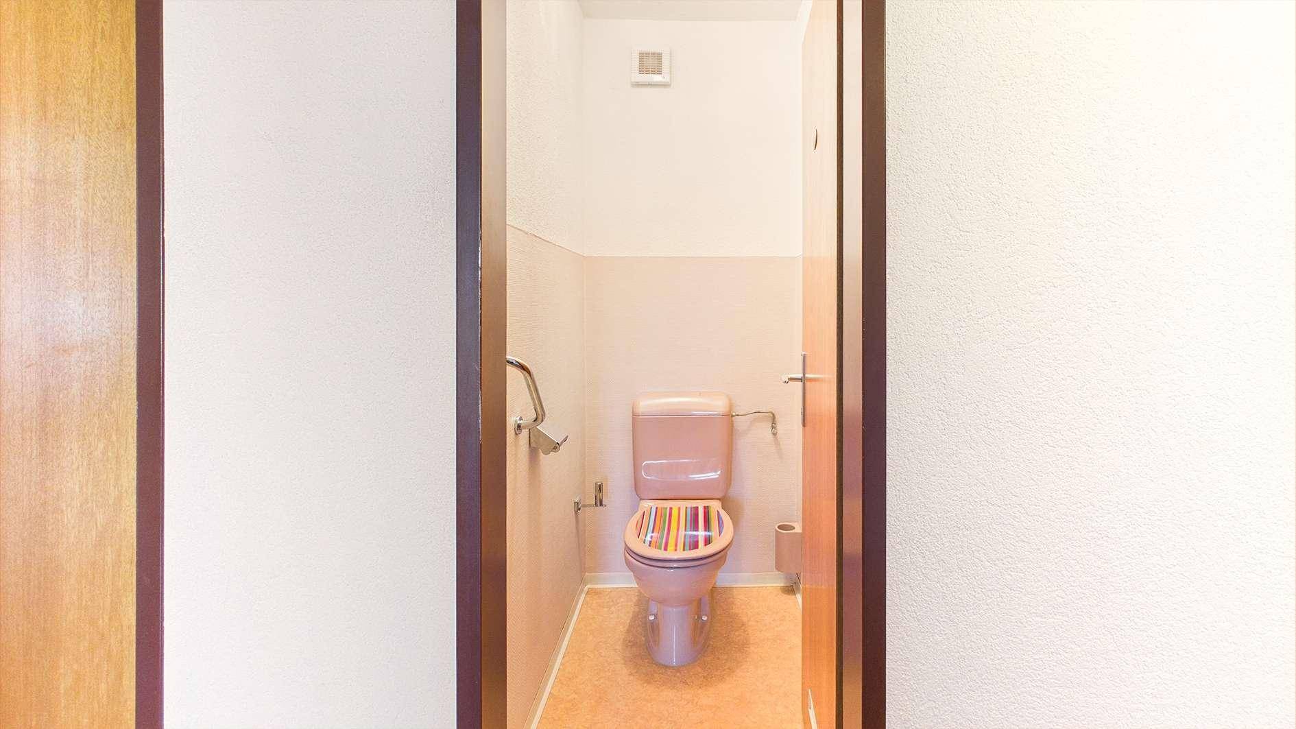 Separate Toilette mit WC, Haltegriffen und einfacher Ausstattung.