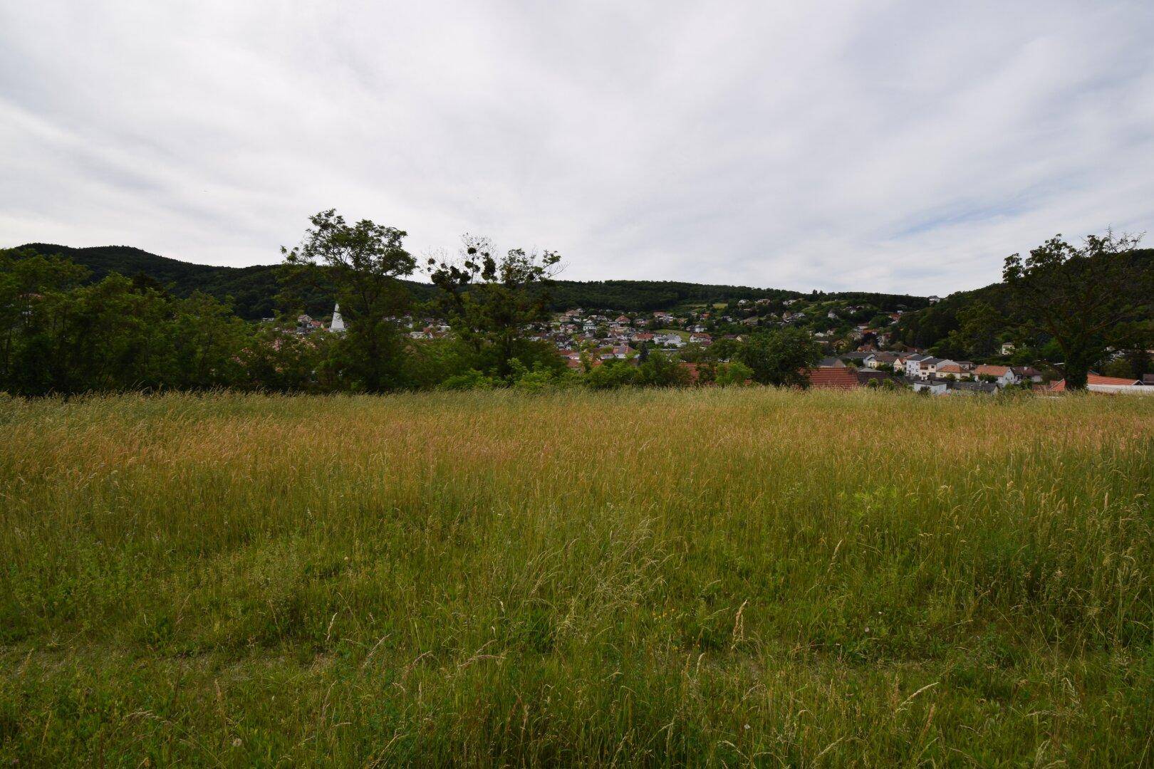 Blick über ein weites Wiesengrundstück auf eine Siedlung in der Ferne, umgeben von grünen Hügeln.