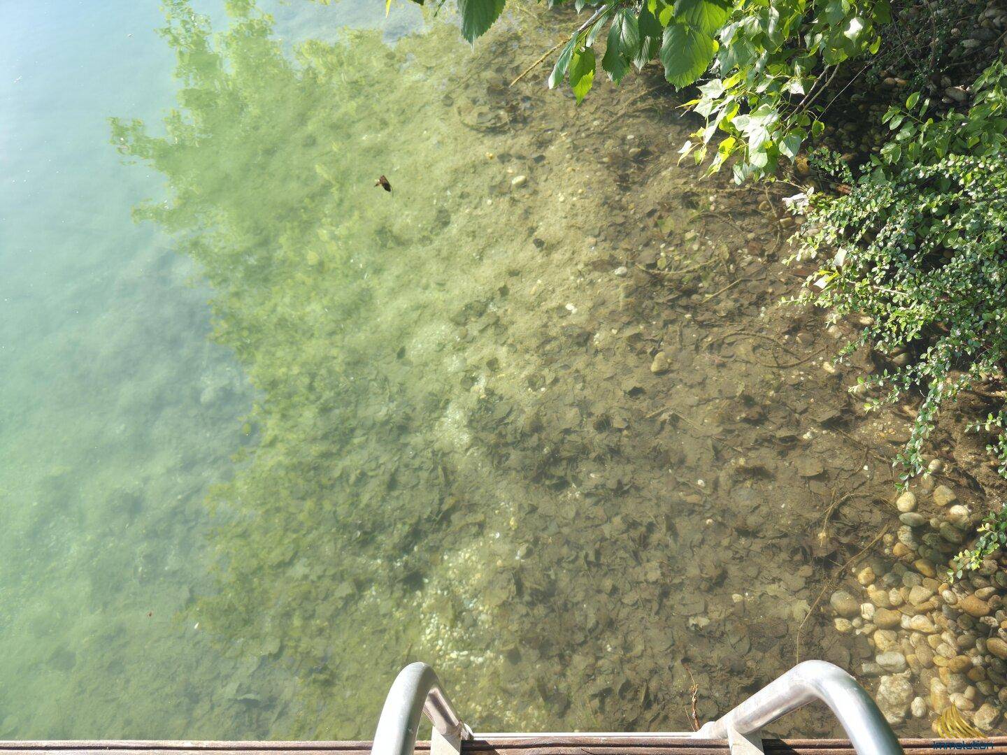 Klares Seewasser mit sichtbarem Grund und einer Leiter für den Zugang zum Wasser.