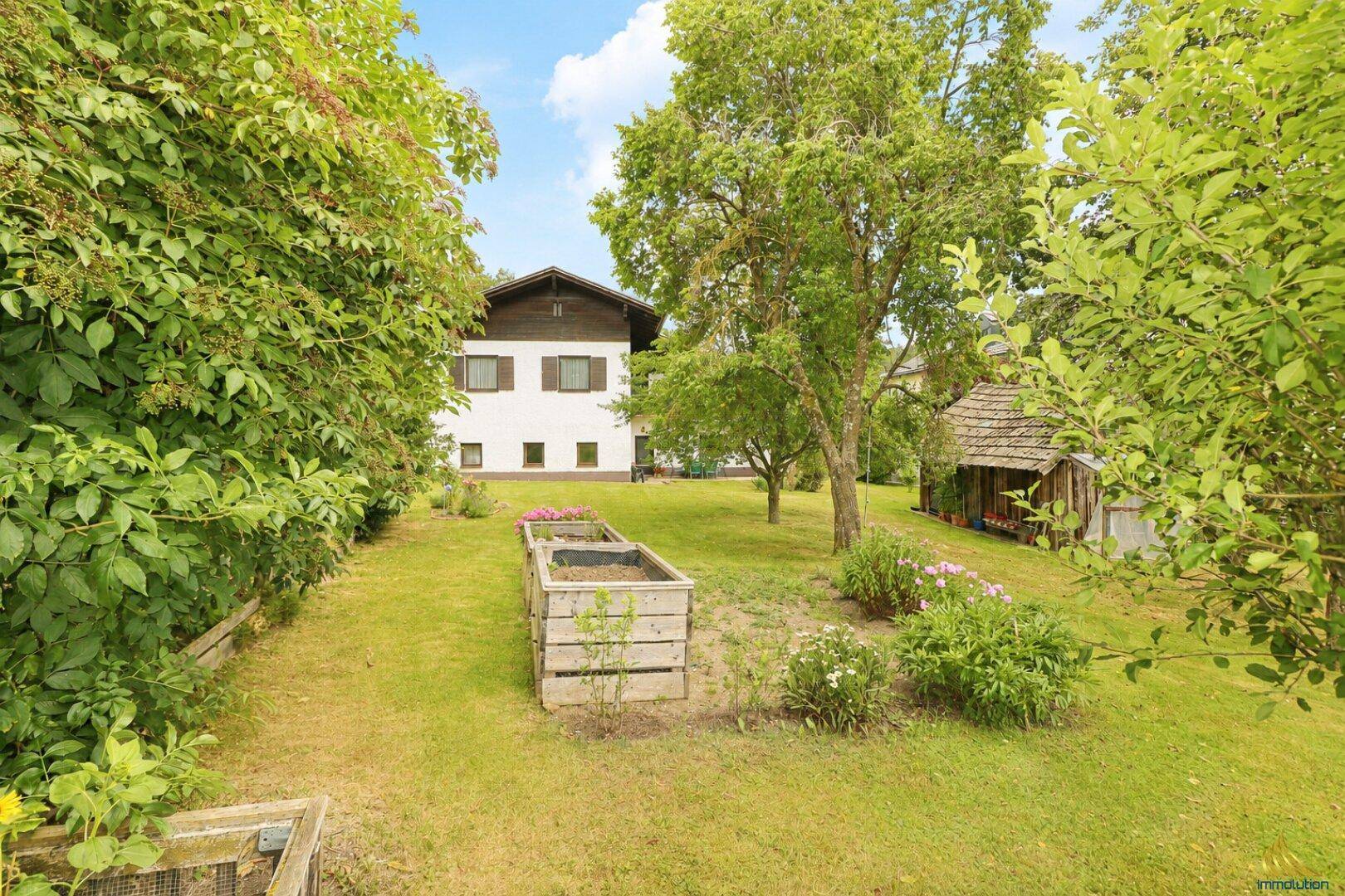 Grüner Gartenbereich mit Hochbeeten und altem Baumbestand vor dem Haus.