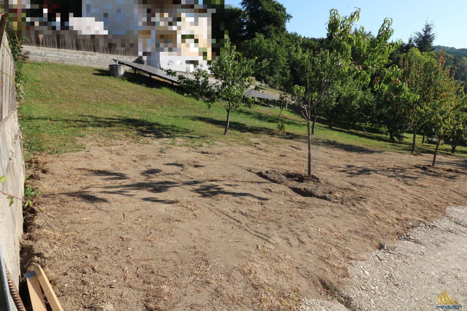 Neu angelegter Gartenbereich mit jungen Bäumen und Blick auf die umliegende Landschaft.