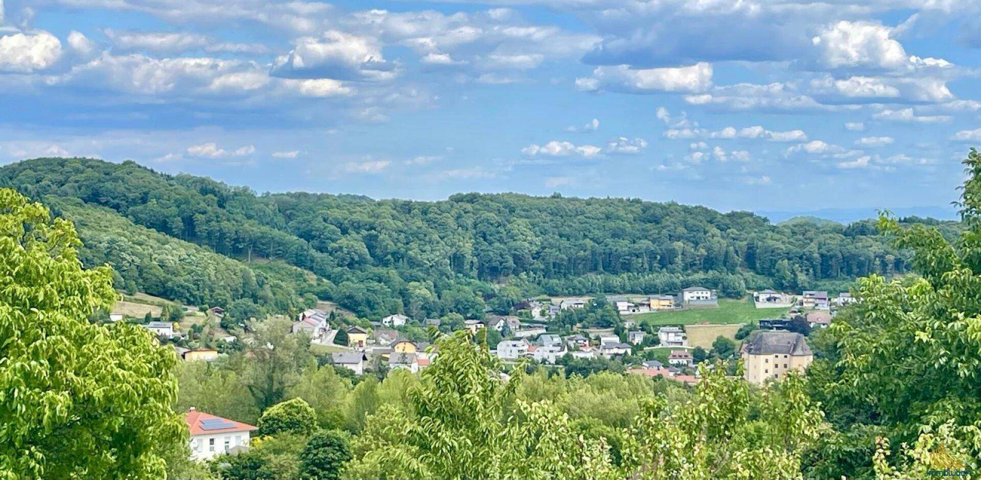 Panoramablick über eine grüne Hügellandschaft mit verstreuten Häusern und blauem Himmel.