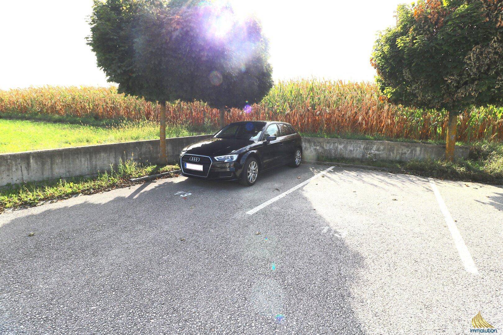 Außenparkplatz für ein Fahrzeug neben einem Feld mit natürlicher Umgebung.