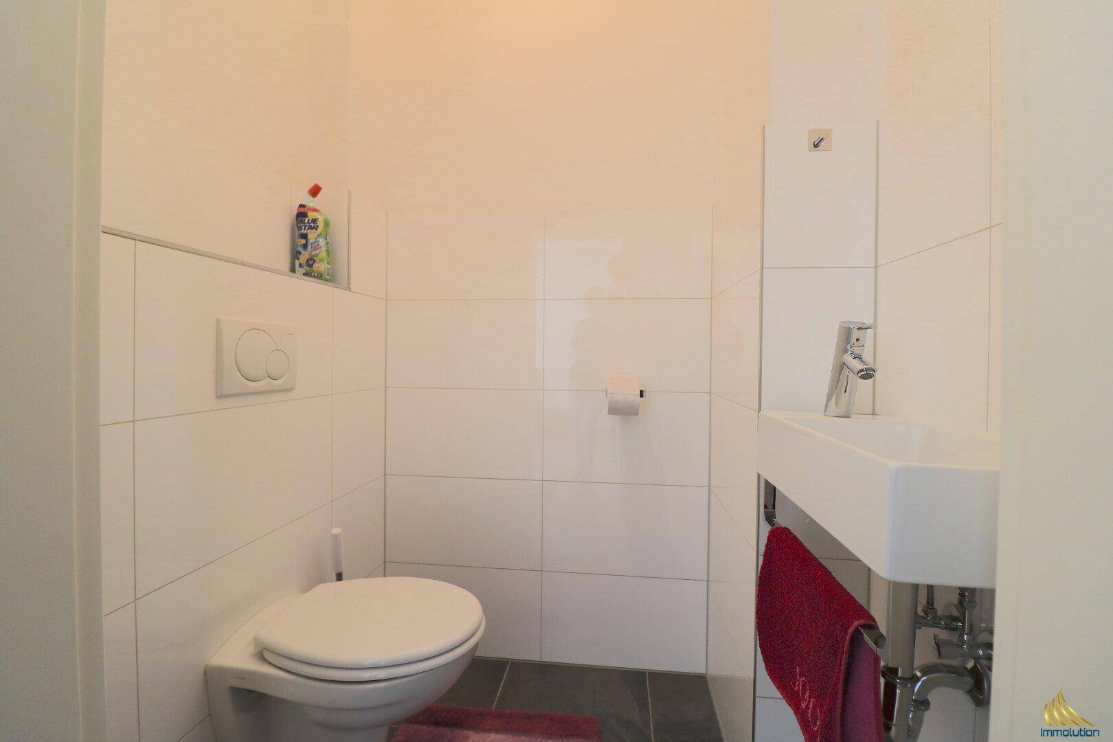 Kleines Gäste-WC mit Wand-WC, Handwaschbecken und modernen Fliesen.