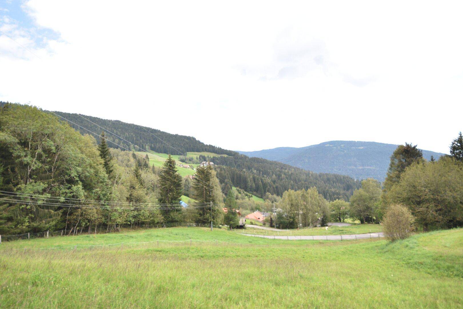 Panoramablick auf eine grüne Hügellandschaft mit Bäumen, einer Straße und Häusern in der Ferne.