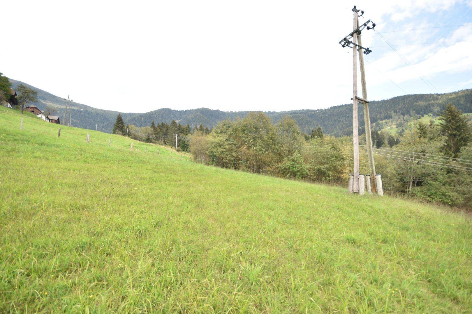 Grüne Wiesenlandschaft mit einem markanten Strommast und bewaldeten Bergen im Hintergrund.