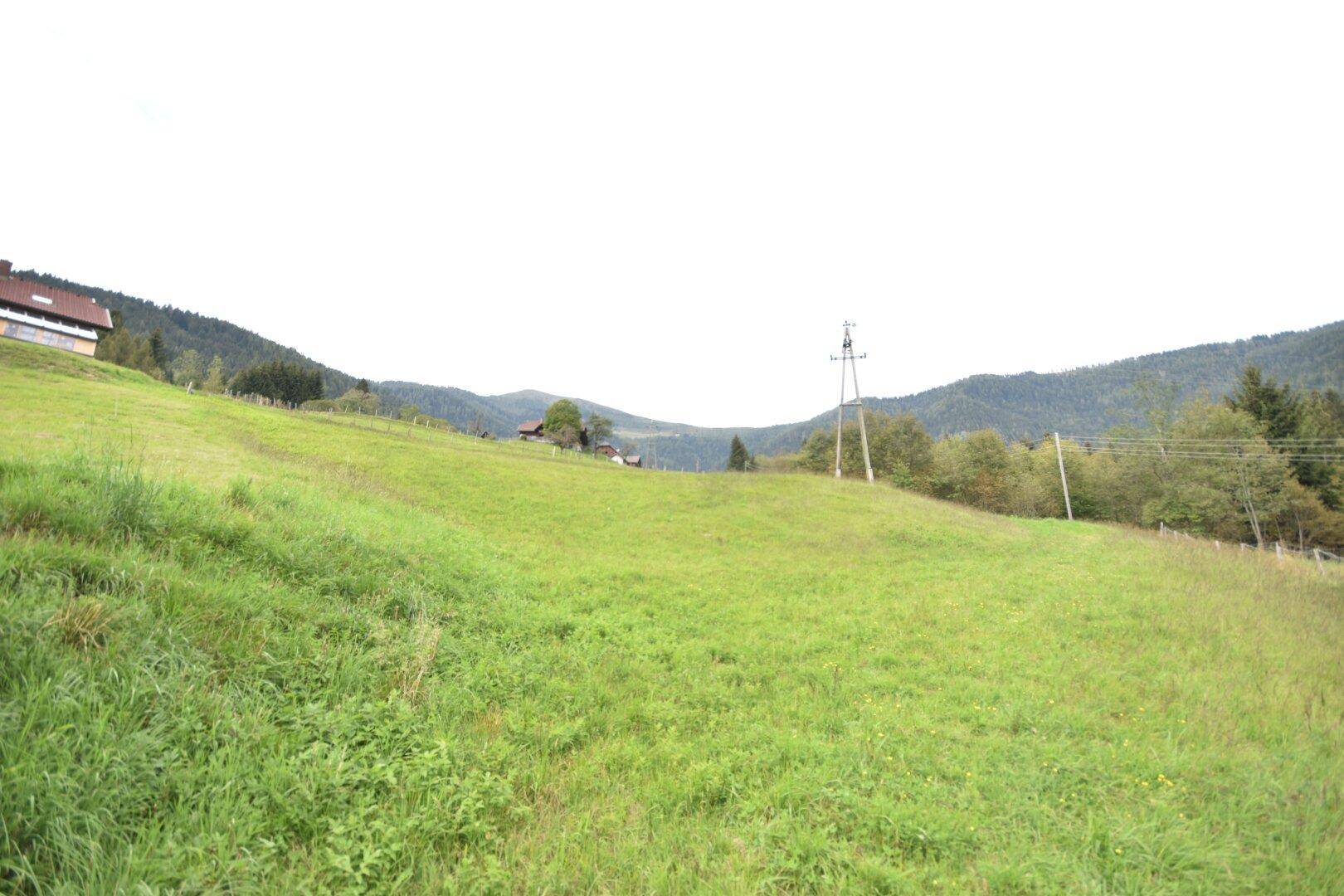 Weitläufige grüne Wiesen mit einem Strommast und Häusern in der Ferne, umgeben von bewaldeten Hügeln.