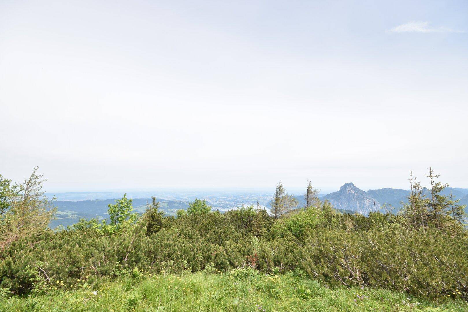 Weitläufiger Blick über grüne Hügel und Täler mit Bergen am Horizont.