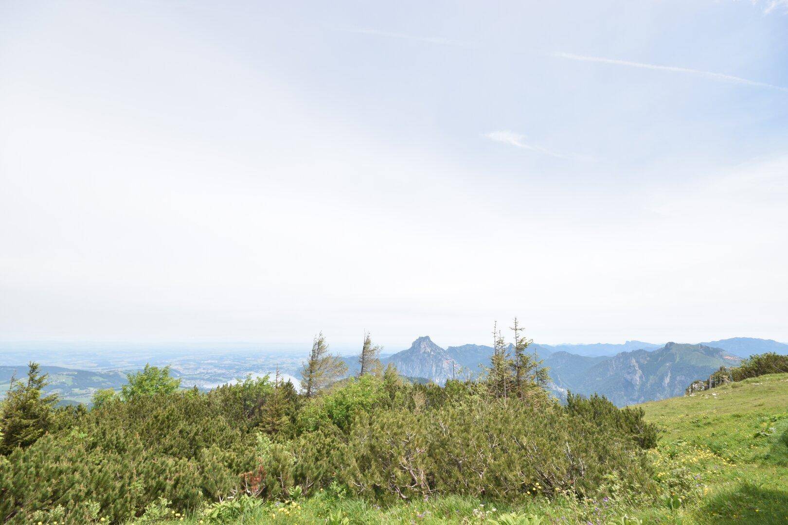 Malerische Landschaft mit grünen Sträuchern und majestätischen Bergen im Hintergrund.
