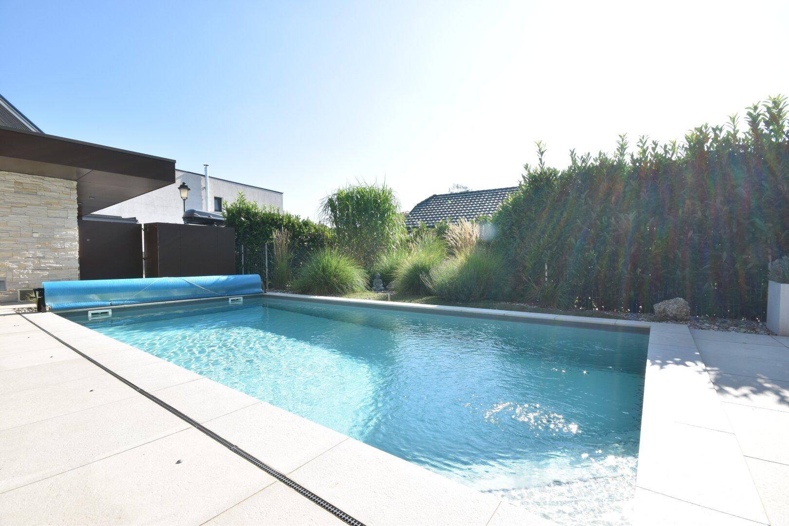 Langer Swimmingpool im Garten, umgeben von grünen Hecken und Pflanzen.