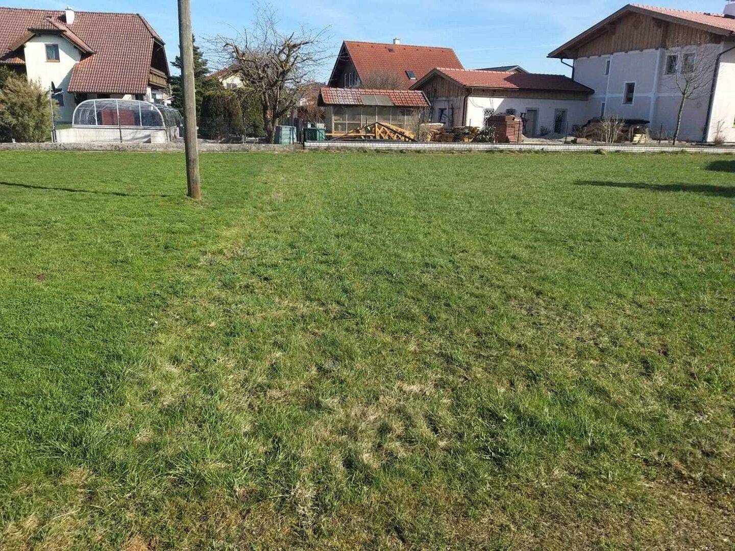 Weitläufige Rasenfläche eines Grundstücks mit angrenzenden Wohnhäusern und klarem Frühlingshimmel.