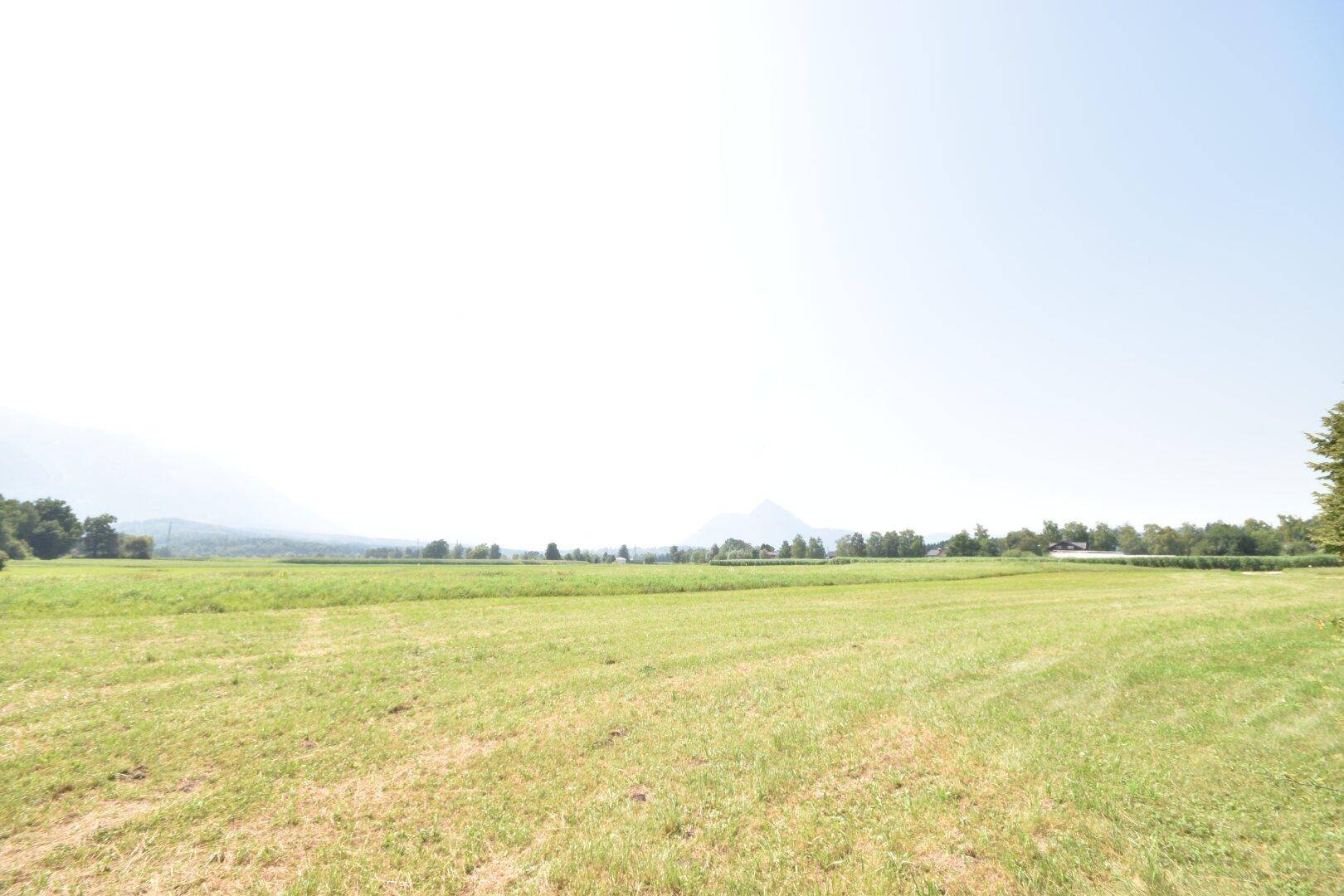 Ausgedehnte grüne Felder mit bewaldeten Hügeln und Bergen in der Ferne unter einem hellen, weiten Himmel.