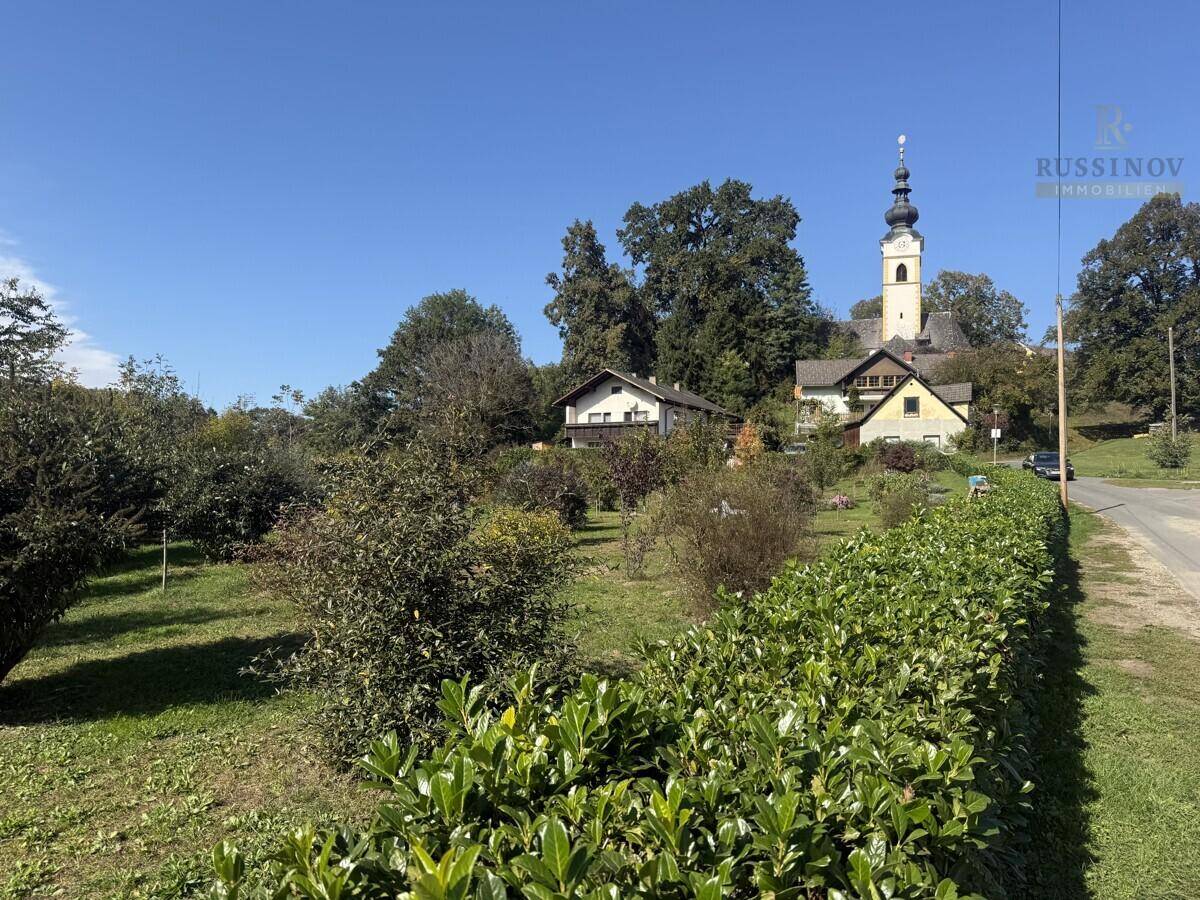 Blick zur Kirche