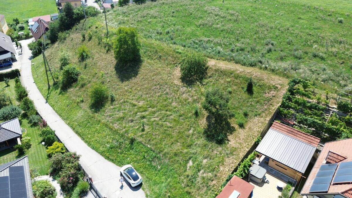 Luftaufnahme eines grünen Grundstücks mit umliegenden Häusern und Feldern.
