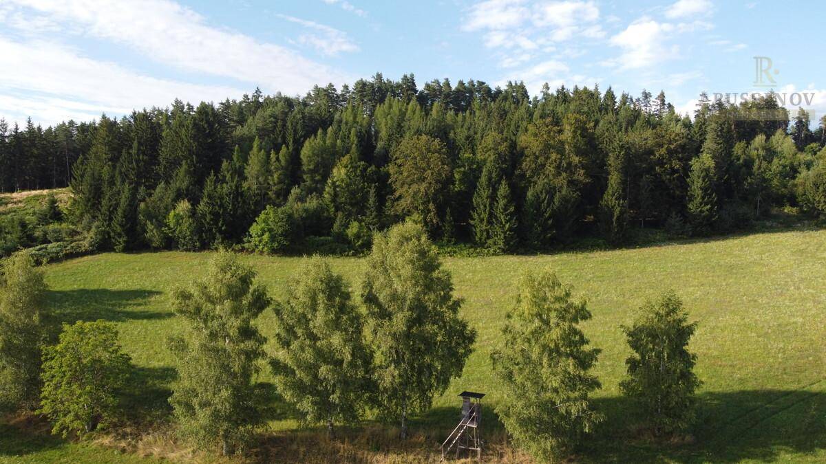 Wald