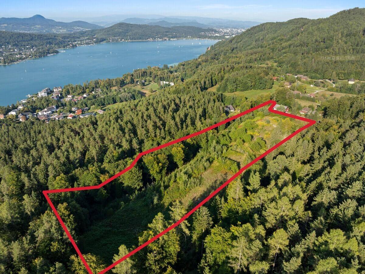 Luftaufnahme eines bewaldeten Grundstücks mit roter Umrandung, See und Bergen im Hintergrund bei Sonnenschein.