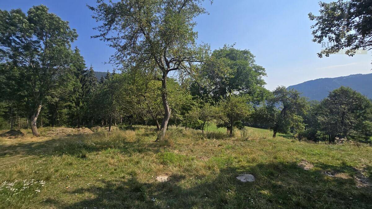 Sonnige Wiese mit Obstbäumen und Blick auf bewaldete Hügel und die weite Landschaft.