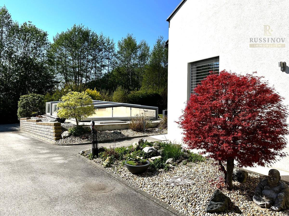 Einfahrt und Pool 2
