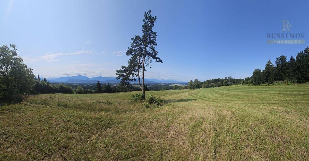 Wiesen